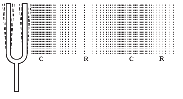 Important Diagrams: Sound | Science Class 9