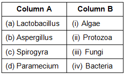 NCERT Exemplar Solutions: Microorganisms : Friend or Foe | Science Class 8