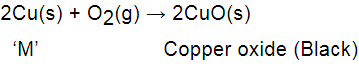 NCERT Exemplar: Metals & Non-metals | Science Class 10