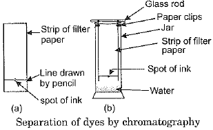 Class 9 Science: Sample Question Paper- 9 (With Solutions)