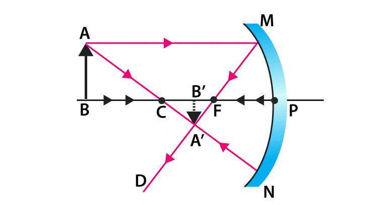 NCERT Exemplar: Light - Reflection & Refraction | Science Class 10