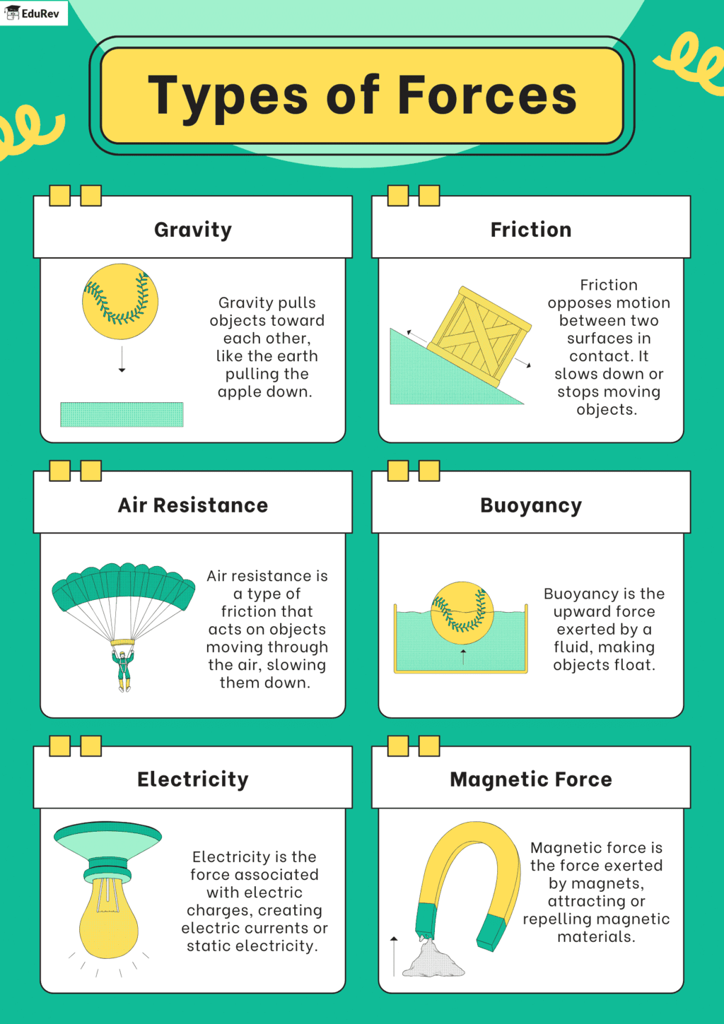 Infographic: Types of Forces | Science Class 8