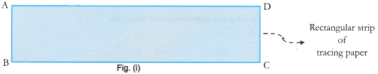 Lab Manual: Division of a Paper Strip in Equal Parts - Class 9