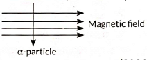 Class 10 Science Chapter 12 Previous Year Questions - Magnetic Effects of Current