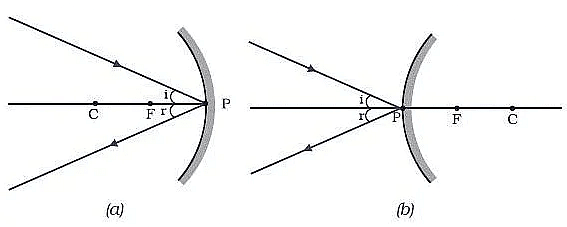 Light | Olympiad Preparation for Class 10