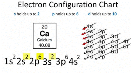 NCERT Solutions for Class 10 Science - Periodic Classification of Elements