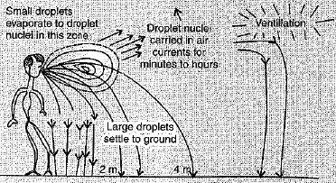 Class 9 Science: Sample Question Paper- 12 (With Solutions)
