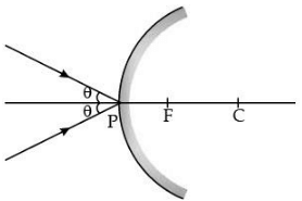 Class 10 Science: CBSE Sample Question Paper (2020-21) - 2 | Science Class 10