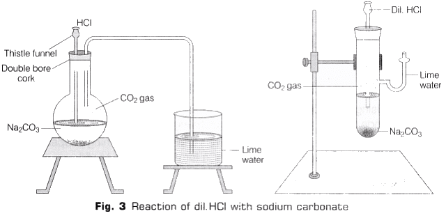 Lab Manual: Properties of Acids & Bases - Class 10