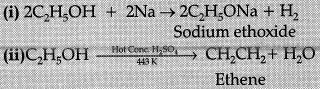Class 10 Science: CBSE Sample Question Paper (2019-20) - 7 | Science Class 10