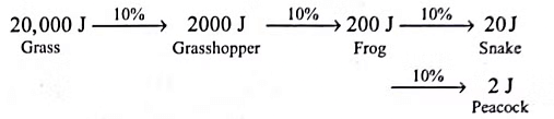 Class 10 Science - Previous Year Questions - Our Environment