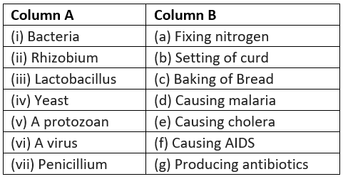 Lakhmir Singh & Manjit Kaur: Microorganisms Friends and Foe- 3 | Lakhmir Singh & Manjit Kaur Solutions: Class 8 Science