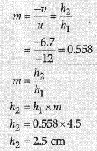 Class 10 Science: CBSE Sample Question Paper (2019-20) - 8 | Science Class 10