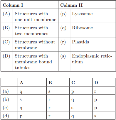 Class 9 Science Chapter 5 Practice Question Answers - The Fundamental Unit of Life
