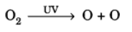 Class 10 Science Chapter 13 Question Answers - Our Environment