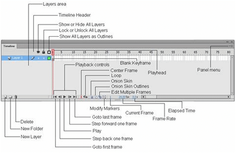 Chapter notes: Flash CS6 | National Cyber Olympiad Class 8