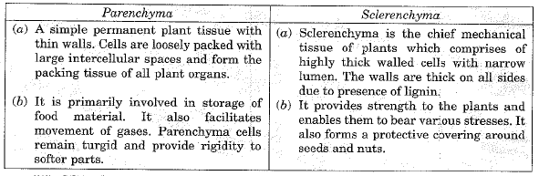 Class 9 Science: Sample Question Paper- 6 (With Solutions)