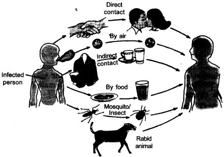 Class 9 Science Question Answers - Why do we fall ill?