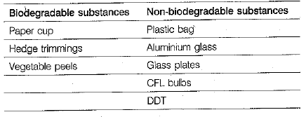 Class 10 Science: CBSE Sample Question Paper (2019-20) - 8 | Science Class 10