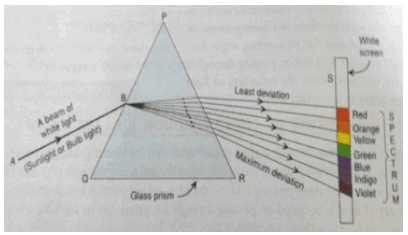 Class 10 Science: CBSE Sample Question Paper (2020-21) - 4 | Science Class 10