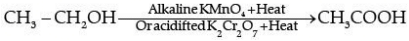 Class 10 Science: CBSE Sample Question Paper (2020-21) - 5 | Science Class 10