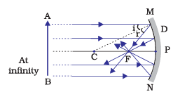 Diagram Based Questions: Light - Reflection and Refraction | Science Class 10