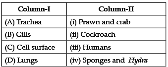 Science Olympiad Model Test Paper - 3 | Science Olympiad Class 8