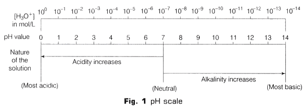 Lab Manual: pH of Samples - Class 10