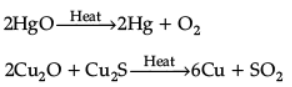 Metals and Non-metals - 3 Class 10 Worksheet Science