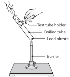 Previous Year Questions 2019