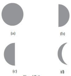 NCERT Exemplar Solutions: Stars and the Solar System - Class 8