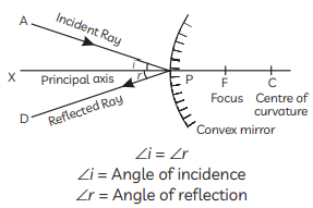 Class 10 Science Chapter 9 Previous Year Questions - Ray Optics - Light : Reflection and Refraction