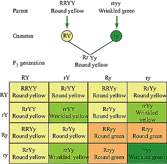 Previous Year Questions 2020