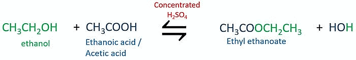Class 10 Science Chapter 4 Previous Year Questions - Carbon and its compounds