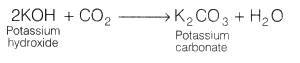 Lab Manual: CO2 is Released During Respiration - Class 10