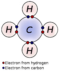 Class 10 Science Chapter 4 Previous Year Questions - Carbon and its compounds