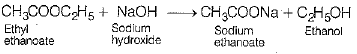 Class 10 Science: CBSE Sample Question Paper (2019-20) - 5 | Science Class 10