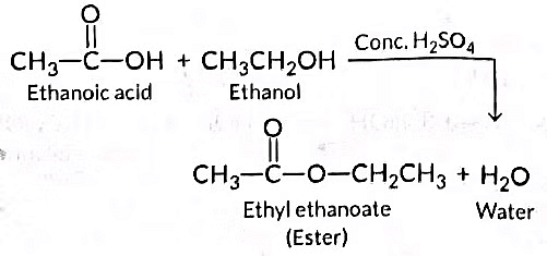 Class 10 Science Chapter 4 Previous Year Questions - Carbon and its compounds