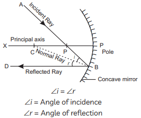 Class 10 Science Chapter 9 Previous Year Questions - Ray Optics - Light : Reflection and Refraction