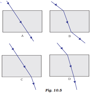 NCERT Exemplar: Light - Reflection & Refraction | Science Class 10