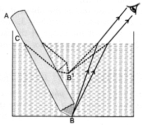 Class 10 Science Chapter 9 HOTS Questions - Light Reflection and Refraction
