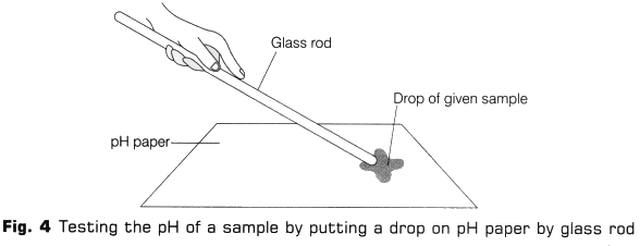 Lab Manual: pH of Samples - Class 10