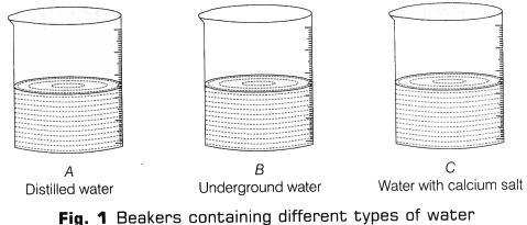Lab Manual: Cleaning Capacity of Soap in Hard and Soft Water - Class 10