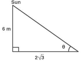 Some Application of Trigonometry Class 10 Worksheet Maths