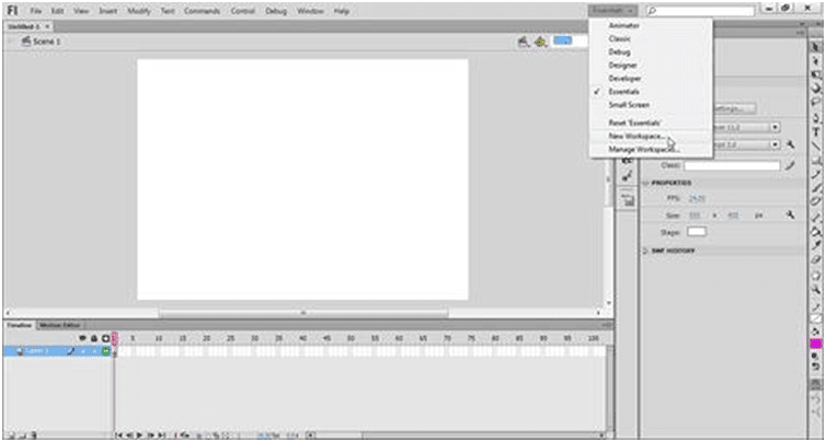 Chapter notes: Flash CS6 | National Cyber Olympiad Class 8