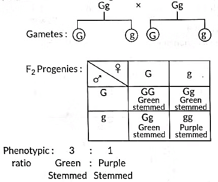 Previous Year Questions 2022
