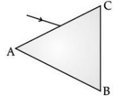 Class 10 Science: CBSE Sample Question Paper (2020-21) - 5 | Science Class 10
