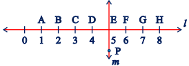 NCERT Solutions for Class 8 Maths Chapter 5 - Understanding Elementary Shapes (Exercise 5.4, 5.5 and 5.6)