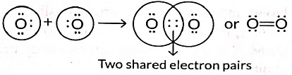 Class 10 Science Chapter 4 Previous Year Questions - Carbon and its compounds