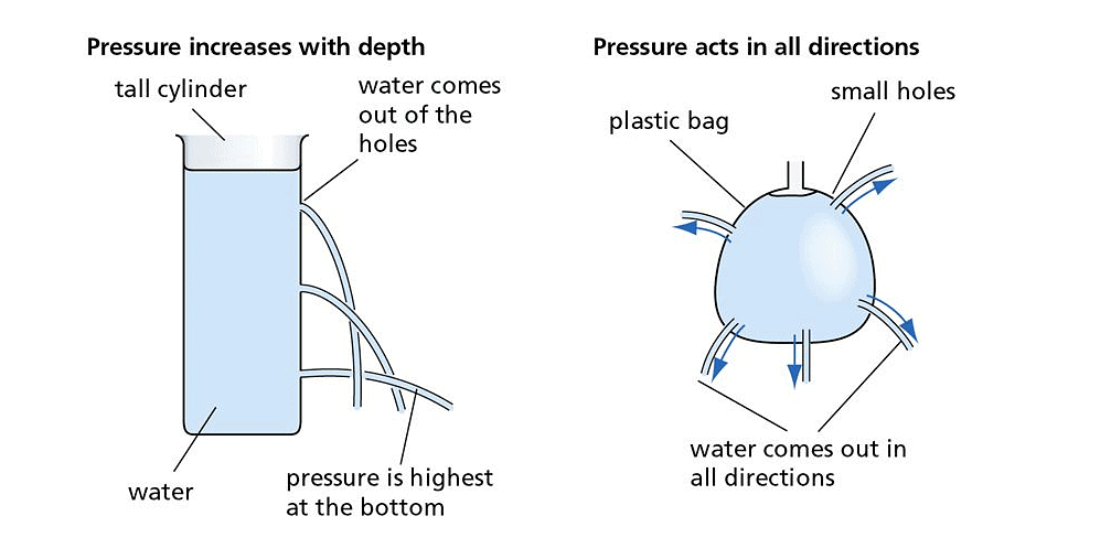 Force and Pressure Class 8 Notes Science Chapter 8